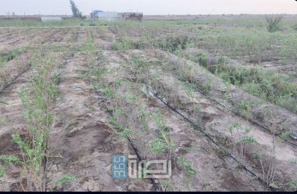 WhatsApp Image 2025 05 27 At 10.00.35 PM