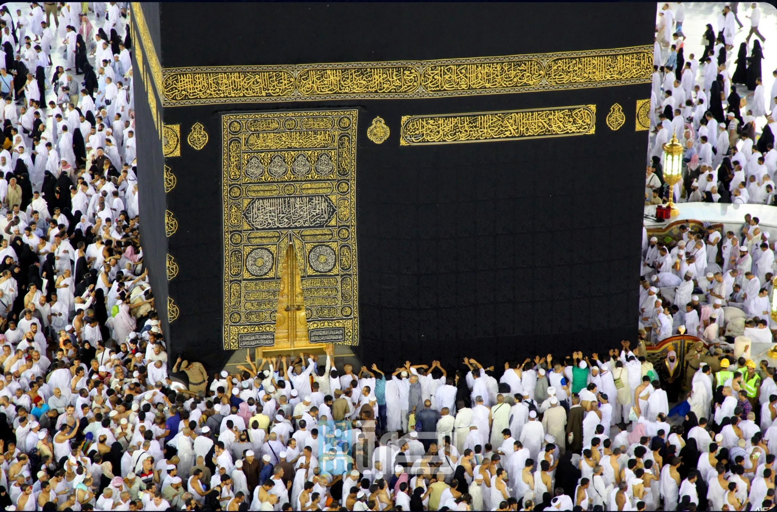 A86d13da 089e 455a Aaed 0c637aa33382 Scaled