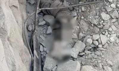 B72a4479 F16e 4a5a B286 Aea7146615b8