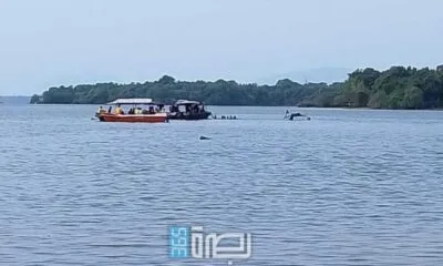 Cf860514 8faa 4ba8 Aa45 7887590067f2