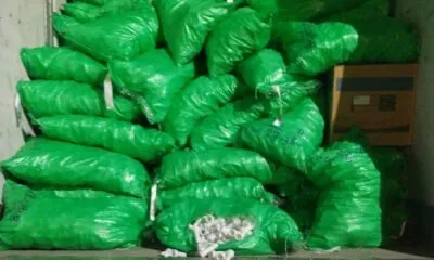 D15963cd Eff0 4011 B60a 8868e0507b96