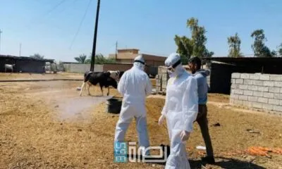 D2b6c6fa 6285 40e6 A35c 5ed5571b140b