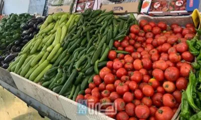 D7ce8e21 8816 4a95 8c3b C0ed2ba32ba0