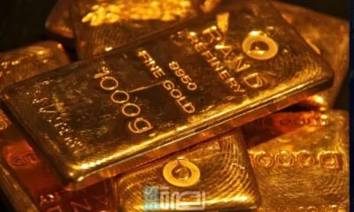 Ef30b923 7f5c 49c1 B37e 968ae8e61fee