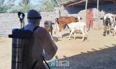 0a1fc824 68c7 426c A009 176cbd25e1ac