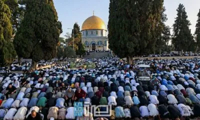 1bfdb691 F91e 4771 A2a6 E9e902399f2d