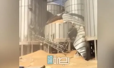 4687bc75 Bfde 49b3 B16c 73662a516ed1