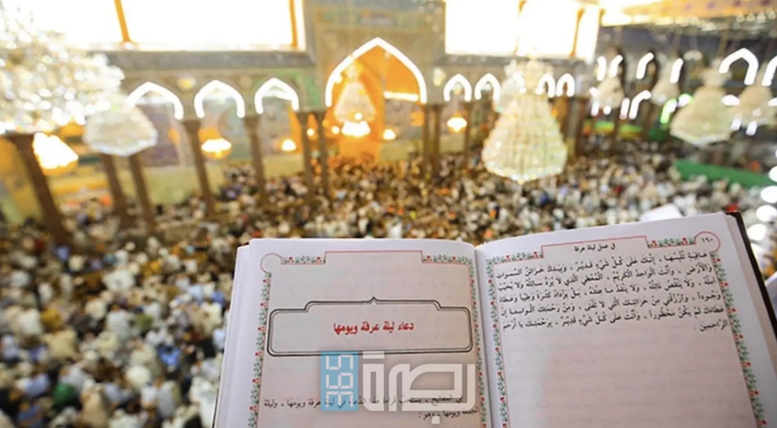 509fb6e8 7753 406b A216 1537184bf36c