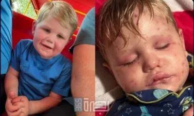 52e83549 Dd5f 4694 8abd 92b8192b039d