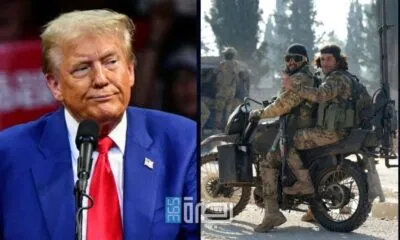 67a1a9d2 9f31 402d A9c0 D004c3053dba