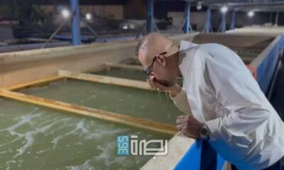 87055966 2dd5 4717 9dbd 3d415790302e