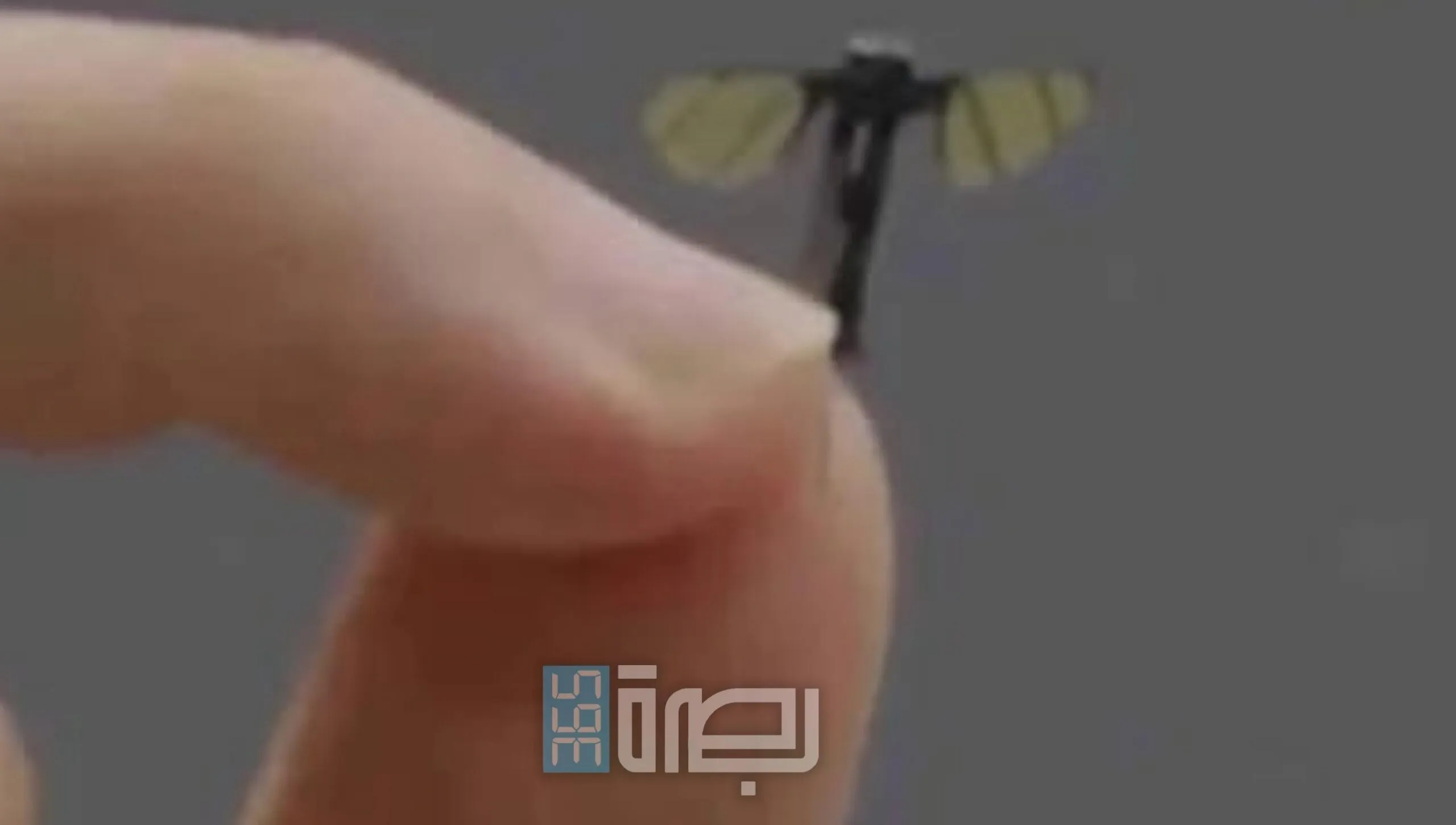 IMG 20250625 WA0041 Scaled