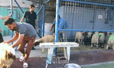 WhatsApp Image 2025 06 11 At 3.15.08 PM 1