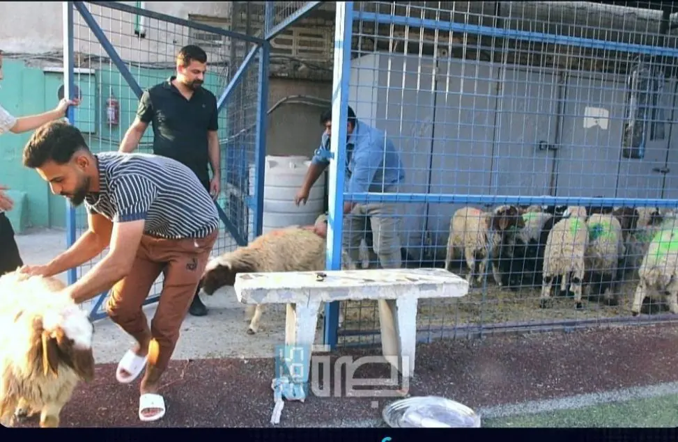 WhatsApp Image 2025 06 11 At 3.15.08 PM 1