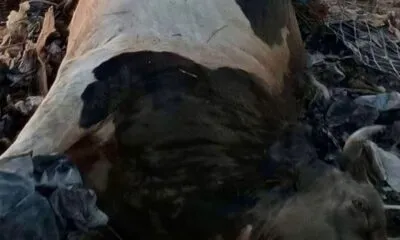 WhatsApp Image 2025 06 12 At 7.08.49 PM