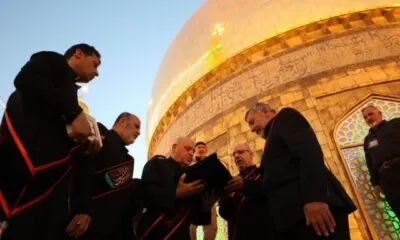 D7c8e1c8 9b48 4db6 A604 D2fad88cac6a