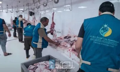 F6fe343c 3c1d 4e92 A3bd 4dee4d4575a5