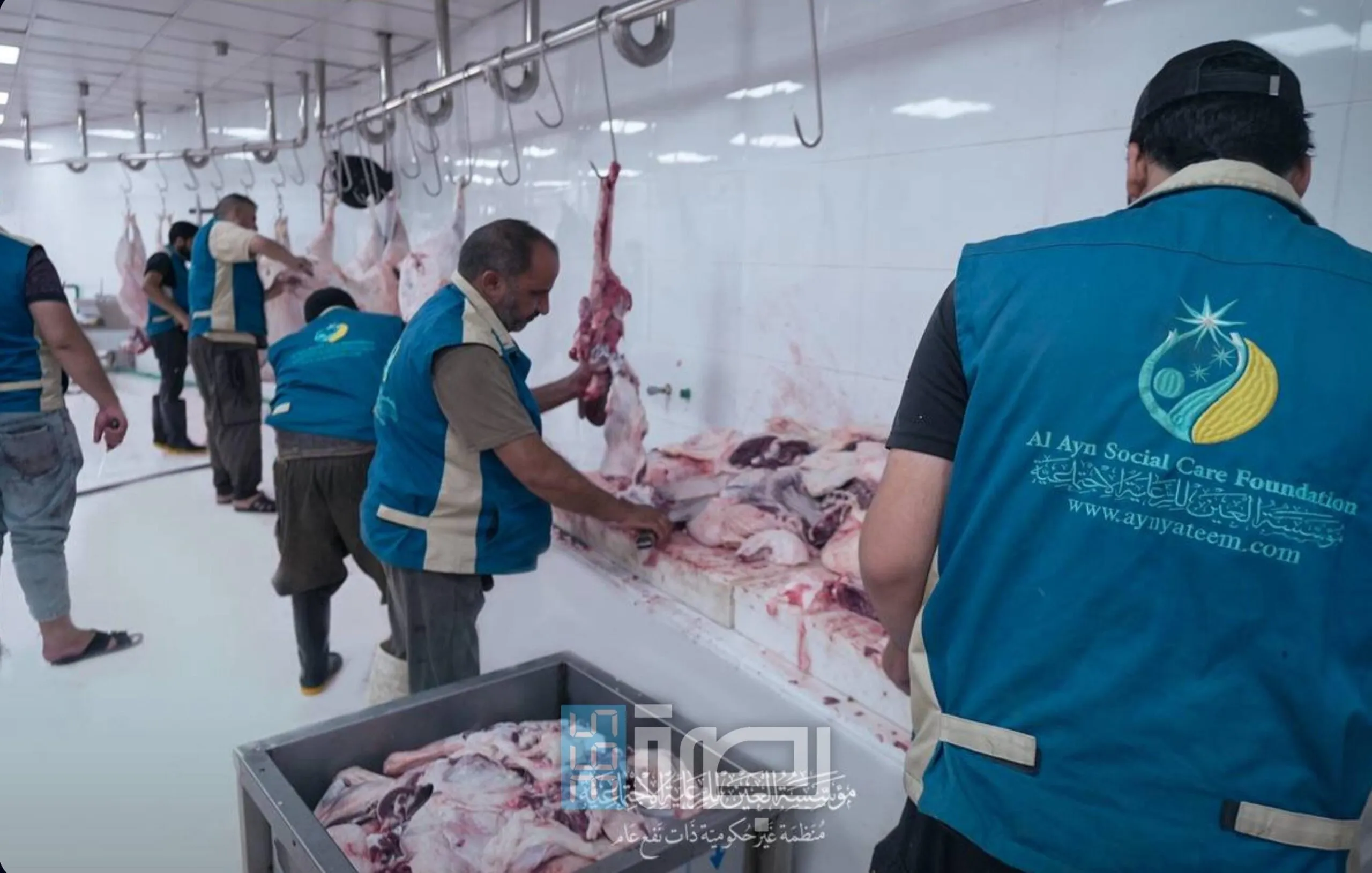 F6fe343c 3c1d 4e92 A3bd 4dee4d4575a5 Scaled