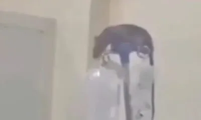 14cb7cdf Df2d 406f B0d6 6ad7804fe079