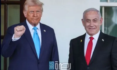 1aa788b7 0d82 4ca9 Aa0a 6fc0f236a2f4