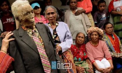 7177e013 D9f2 4095 Bca3 Cf10a87e0eba