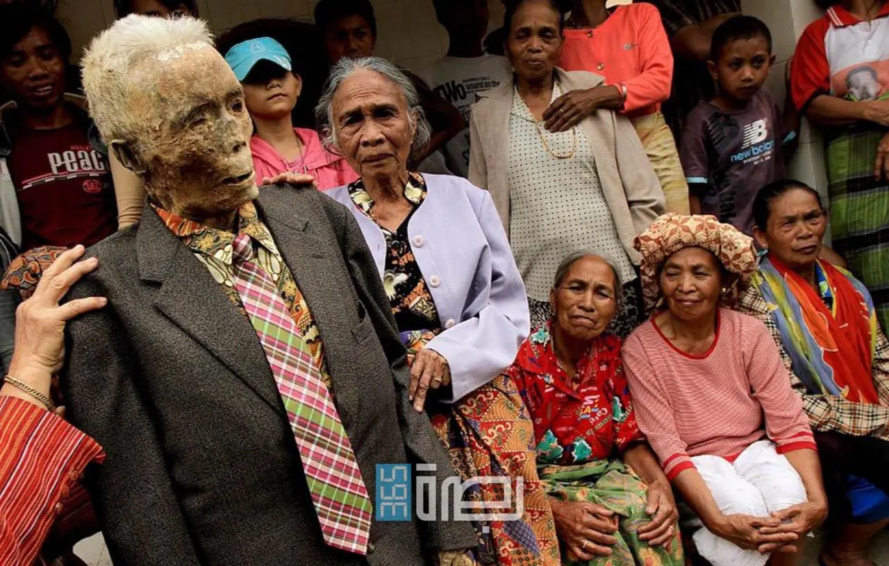 7177e013 D9f2 4095 Bca3 Cf10a87e0eba