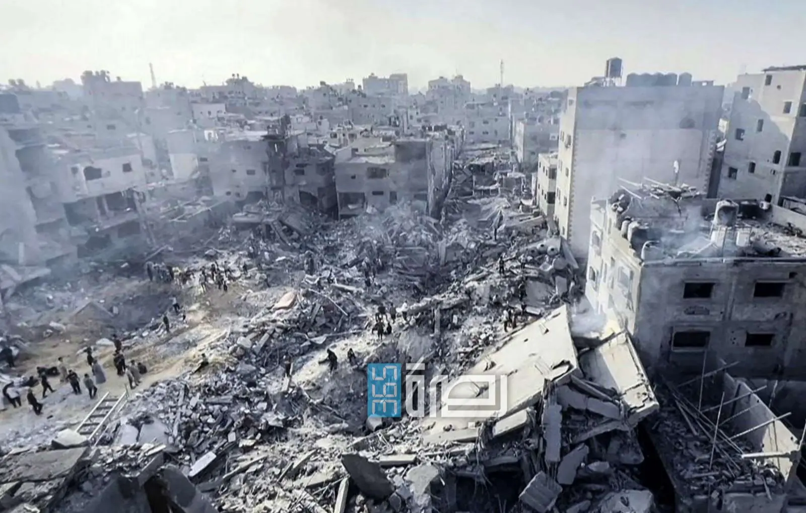 81513c9a 5603 41ca 853c 2dc9b99aed13