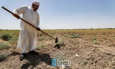 WhatsApp Image 2025 07 02 At 11.49.10 PM