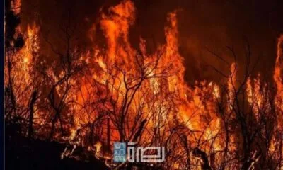 WhatsApp Image 2025 07 10 At 10.21.02 PM