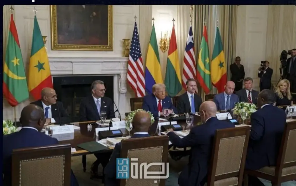 WhatsApp Image 2025 07 11 At 12.35.26 AM