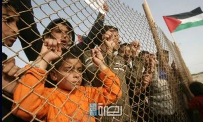 WhatsApp Image 2025 07 25 At 11.32.50 PM