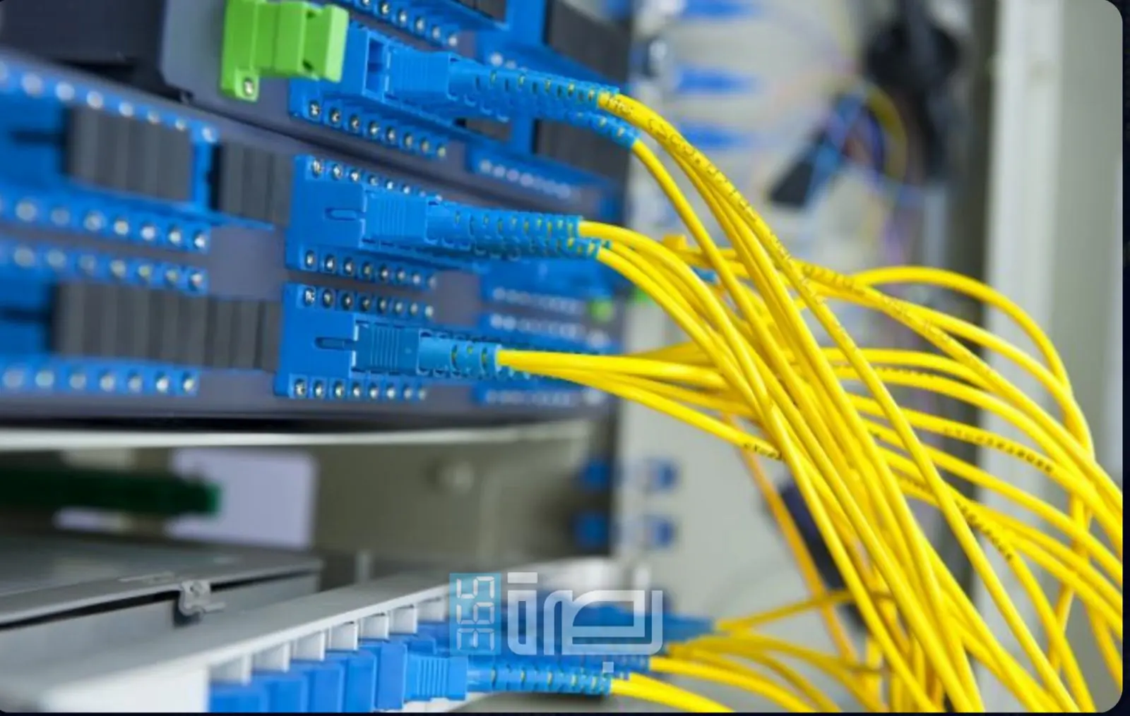 WhatsApp Image 2025 07 25 At 7.48.15 PM