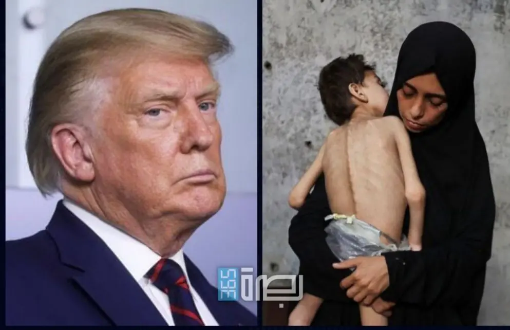 WhatsApp Image 2025 07 27 At 10.31.45 PM