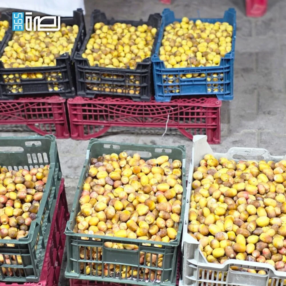 WhatsApp Image 2025 07 27 At 11.47.29 PM 2