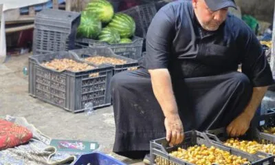 WhatsApp Image 2025 07 27 At 11.47.29 PM 3