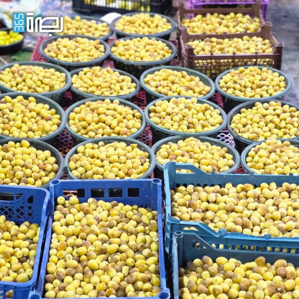 WhatsApp Image 2025 07 27 At 11.47.30 PM