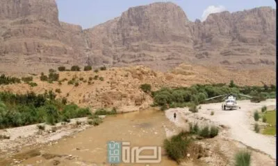 WhatsApp Image 2025 07 31 At 8.55.56 PM