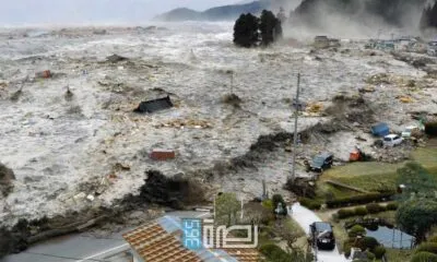 A0e617be 791a 44e5 B3c7 F8d35627b0b7