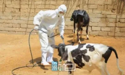 Ca6a7a49 B8aa 42d4 Ae94 0c0b429dc174