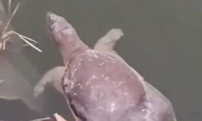 Dff83ff1 Abe2 4915 81cc E91cdf62b91c