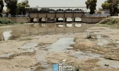 E7f9c965 D931 47d3 B6f4 878733d96ac3