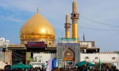 2b921db9 9ebb 40dc 890f 6a71af0a4829