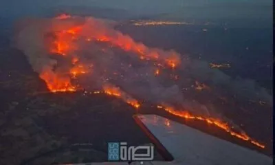 847494de 0c71 4835 A78c 5d3192d2a1c8