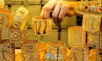 94dfa891 D3c6 423d Bb0c 6d4b48e4bdcd