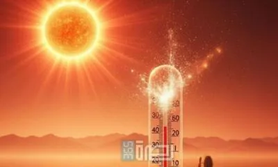 Ad4ae318 0767 4295 92f9 9c083d220375