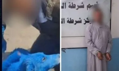 Cf118cf9 13ba 4fec 9f30 372fe0648e95