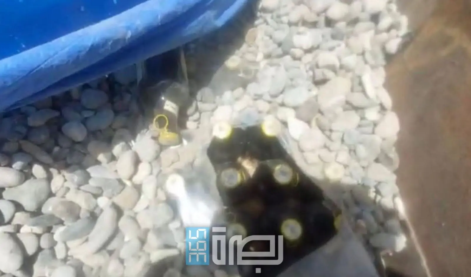 F0cbcd6f 2f1f 479d 88c4 Ccc771d310e4