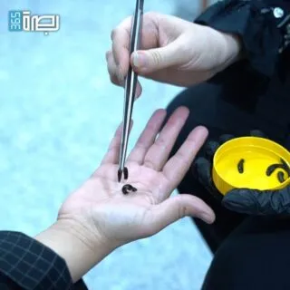 F39e4c08 Fcf1 42cd 9b6e Be1c44a418a2