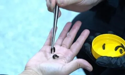 F39e4c08 Fcf1 42cd 9b6e Be1c44a418a2