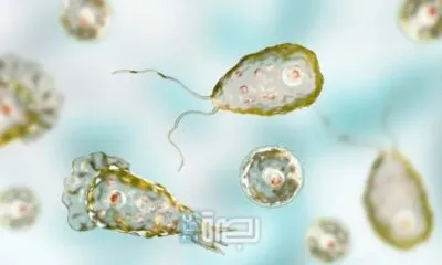 63310af7 69d1 489c Ba13 5a7396e8ede1